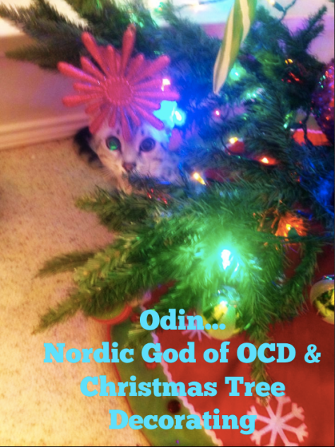 Screen Shot 2014-12-02 at 10.07.30 AM